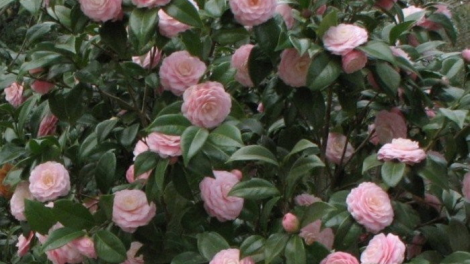 T'RUIH PA XUL T'NGAY 31/10/2021