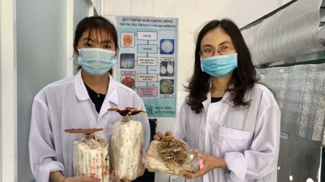 Sinh viên Đà Nẵng tợơp bhrợ têng cha tợơ trà pô tri