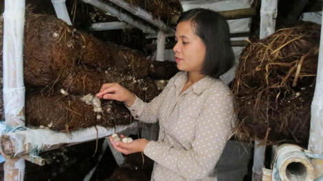 Cô giáo zr’lụ da ding ca coong pa dưr ca van tợơ cr’nọo bh’rợ choh tri hữu cơ