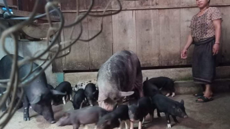 Pân đil Cơ Tu năl cơnh z’lâh đha rựt