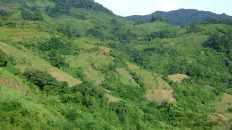 Đhanuôr Quảng Nam tr’xăl tơơm chr’nóh zêl cha groong lâng tr’xăl plêệng k’tiếc