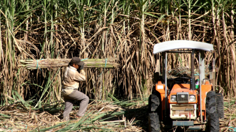 Manứih chóh a’tao lưm zr’nắh k’đhạp, Đà Nẵng chấc lêy đhị pa câl