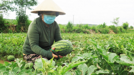 Phú Yên p’têết lêy zooi zup đhanuôr pa câl bh’nơơn pr’đươi tu cắh liêm crêê âng pr’lúh Covid-19