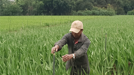Manứih đảng viên liêm chr’nắp cóh vel K’long