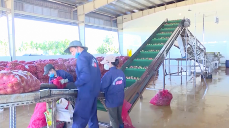 Gia Lai đhanuôr yêm loom tu chanh dây pa câl dal zên