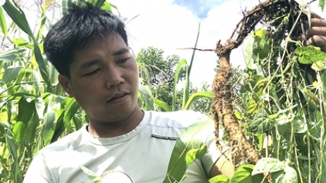 Đhanuôr Cơ Tu zr’lụ k’noong k’tiếc chóh t’nơơm t’bil ha ul pa xiêr đh rứt