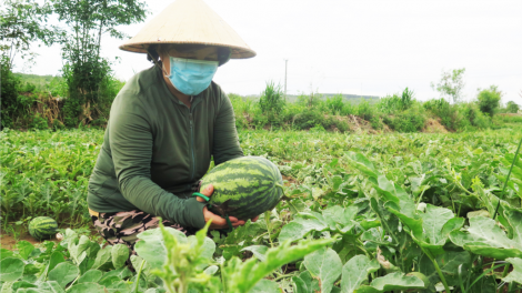 Phú Yên: P’têêt pazưm zúp đhanuôr pa câl bh’nơơn pr’đươi tu cắh liêm crêê âng pr’lúh Covid-19