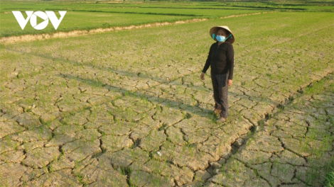 Quảng Nam zâng lâng đhr’năng căh bơơn bh’nơơn tu căh zập đác, xợơt k’rịa