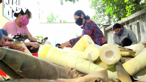 Quảng Nam pa gơi lâh 530 tấn chr’neh chr’na-bhơi rơ veh cher đoọng ha đhanuôr TP HCM