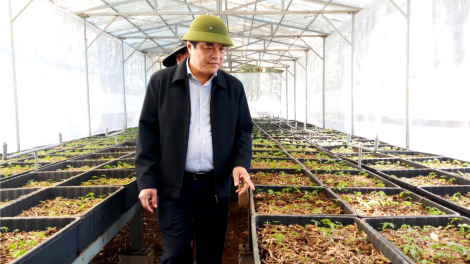 Quảng Nam: Pa dưr tơơm sâm Ngọc Linh