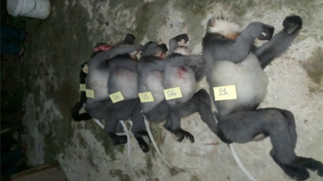 Ch’mêệt lêy 2 cha năc penh c’chêệt 5 p’noong boọ chr’năp pr’hặt
