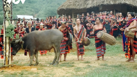 T’ruih pa xul p’rá Cơ Tu bhrợ t’bhưah zr’lụ pa xul tươc ooy đhanuôr coh zr’lụ ch’ngai bha dăh