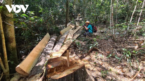 6 c’xêê tơợp c’moo, bơơn lêy lấh 2 r’bhâu tu bhiệc pa hư crâng