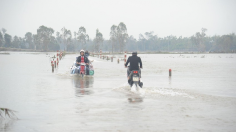 Quảng Nam: Học sinh, sinh viên đhêy học đoọng zêl cha groong boo ngân