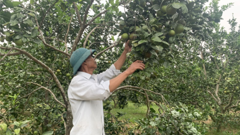 Đhanuôr chóh píh Nam Đông bơơn bhrợ píh đoọng g’đách boo túh