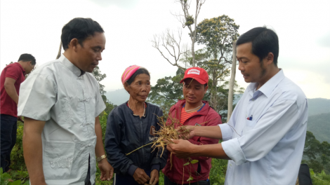 Doanh nghiệp k’rong bhrợ dự án chóh lâng bhrợ têng tơơm zanươu đhị Tây Giang-Quảng Nam