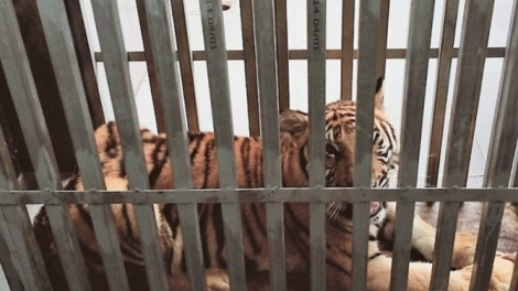 7 p’nong n’bhướp Đông Dương ơy t’moót băn đhị bhươn Quốc gia Phong Nha-Kẻ Bàng