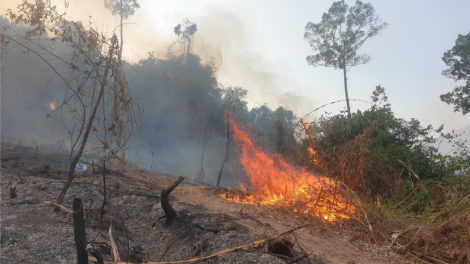 K’nặ 520ha crâng lâh bil coh 5 c’xêê tơợp c’moo 2022