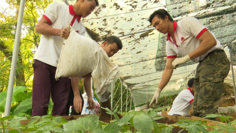 Quảng Nam: Ra văng liêm choom pazêng pr’đơợ bhrợ têng bh’rợ prá xay ooy xa nay pa dưr sâm Việt Nam