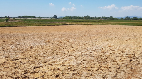 Miền Trung: K’rơ bhâu hécta k’tiêc bhrợ têng ha rêê đhuôch vêy đhr’năng căh zâp đac tu p’răng puih