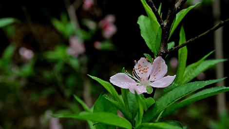 T'RUIH PA XUL T'NGAY 21-2-2022