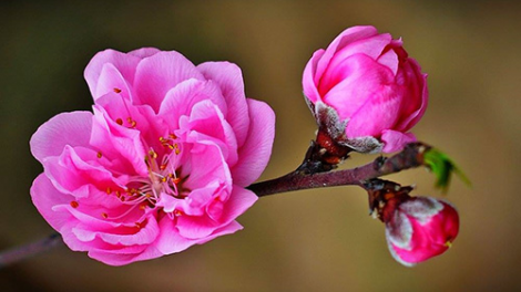 T'RUIH PA XUL T'NGAY 19-2-2022