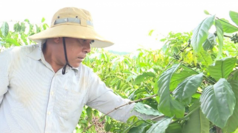 Pa dưr bh’rợ lươt l’lăm âng đảng viên ma nưih acoon coh