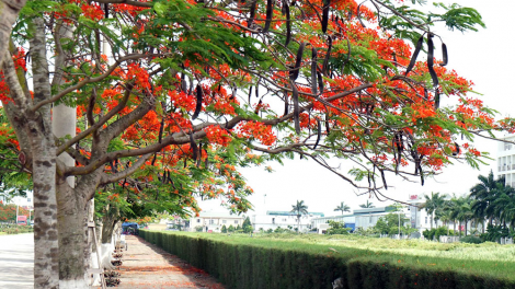 T'RUÍH PA XUL T'NGAY  10-7