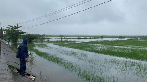 Apêê tỉnh miền Trung hân đơơh bhrợ bhr’lâ râu boo tuh đơc lơi