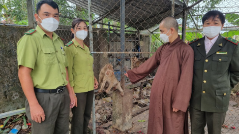 Hạt Kiểm lâm thành phố Huế: Đớp 4 p’nong bhọot chr’năp pr’hăt