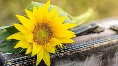 T'RUIH PA XUL T'NGAY 5-1-2022