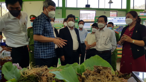 Chr’hoong Nam Trà My: Pa luih zr’lụ Trung tâm bhrợ têng hội chợ, phiên chợ sâm Ngọc Linh
