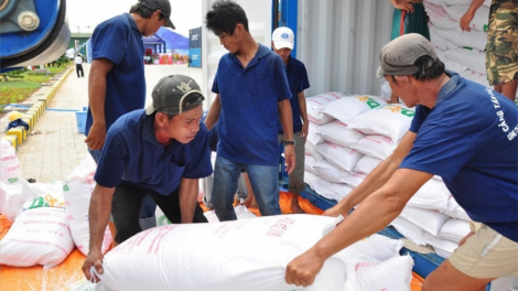 Chính phủ  pa gluh đoọng 13.500 tấn ch’nêêh ha 9 tỉnh bêl Tết lâng hân noo choh bêêt