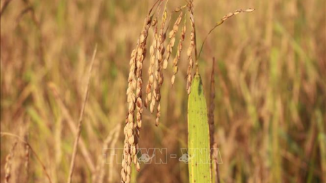 T'ruih thứ 5, t’ngay 24/2/2022