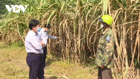 Phú Yên: Bơơn bh’nơơn a tao bấc, chr’năp dal