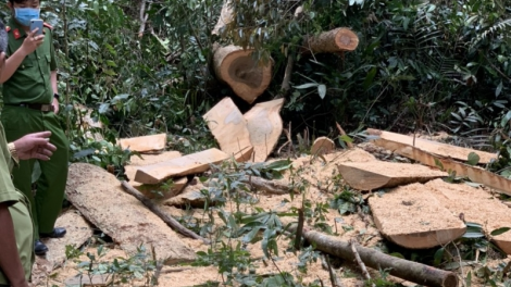 Bình Định:Khởi tố tu bhiêc bhrợ têng 3 bhr’lâng n’loong h’rôông lêt xa nay