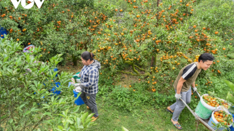 Tơơp bhrợ pa dưr zr’lụ choh bhrợ t’vaih bh’nơơn bơơn cr’noọ xa nay đơơng pa câl ooy k’tiêc k’ruung n’lơơng