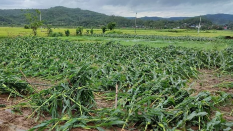 Quảng Bình: Bấc đhanuôr bil bal zêng coh hân noo cha noọng c’lọt, vel đong zooi choh bhrợ cớ
