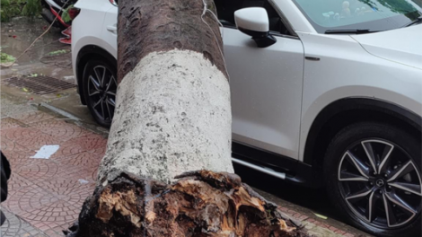 Chr’noh chr’bêêh miền Trung crêê nong lit tu boo ngân