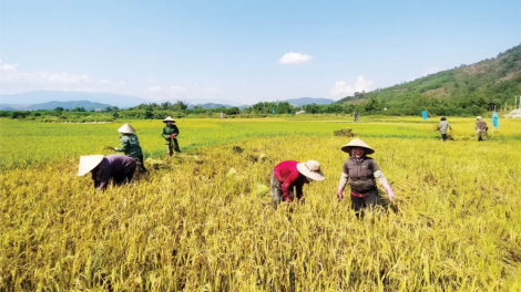 Alưới – Thừa Thiên Huế: Zư đơc hân noo chr’noh chr’bêêt, cr’van đhị văr cuôi, đhr’năng plêêng k’tiêc căh liêm