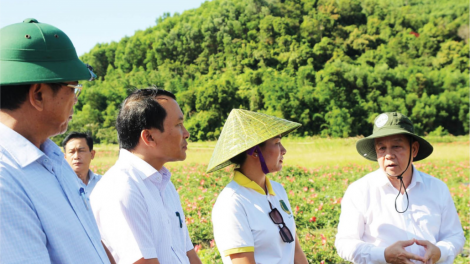 Thừa Thiên Huế: Bấc râu bhiệc moon pa glúh đoọng A Lưới zi lấh đha rứt nhâm mâng