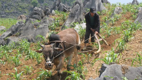 Năc zooi k’tiêc pa bhrợ đoọng ha đhanuôr acoon coh