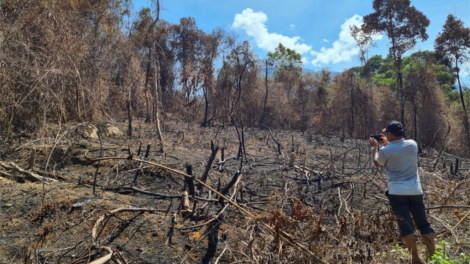 Khởi tố 3 cha năc crêê tươc coh bh’rợ óch bhơi xấc rooh 20 héc ta crâng coh Quảng Nam