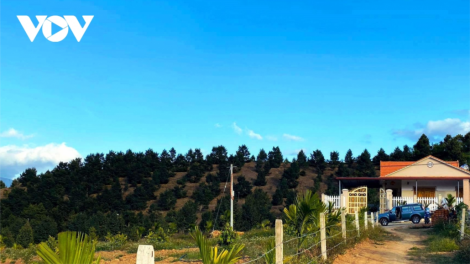 Chr’hoong da ding ca coong bhrợ bhiêc bhan đoọng p’têêt pa zum, đươi dua câl bhlêy p’lêê p’coo