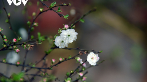 T'RÚIH T'NGAY 16/7/2022