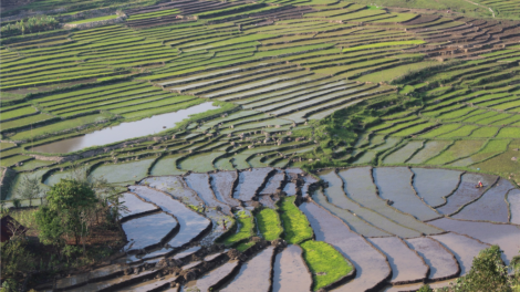 Đha nuôr zr’lụ da ding ca coong Tây Giang- Quảng Nam tơơp choh bêêt hân noo bhrợ têng ha ot ha pruôt