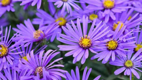 T’RUIH T’NGAY 22/4/2022