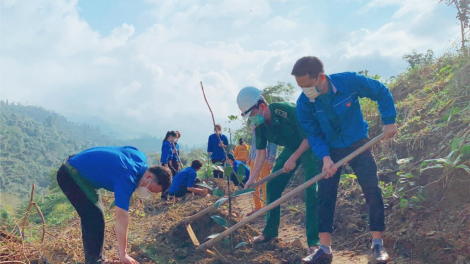 Quảng Nam: Chóh lâh 9,5 ức tơơm n’loong t’viêng coh c’moo 2022