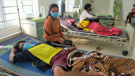 Quảng Ngãi:  4 cha năc đha nuôr crêê grâm teh âi z’zăng