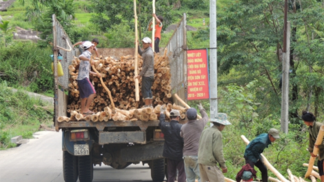 Quảng Ngãi: Đhanuôr lưch pa câl keo nhuum tu bơơn chr’năp dal